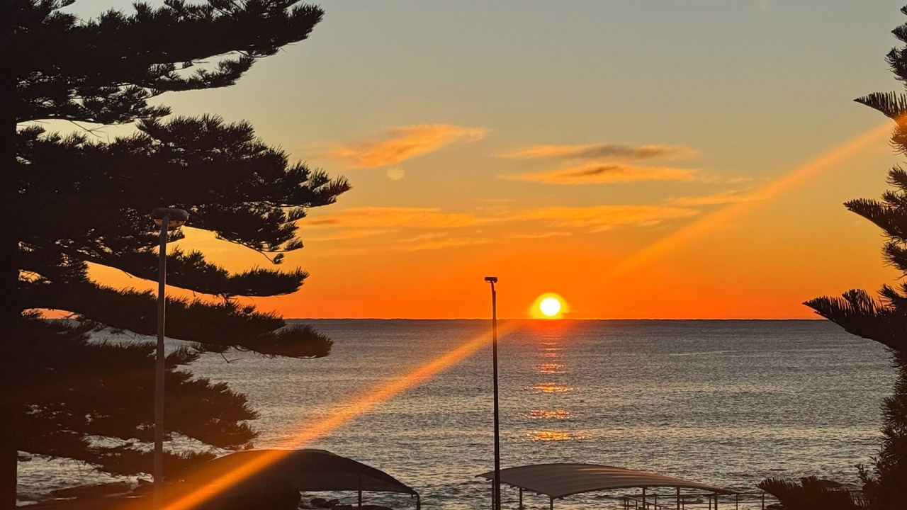 Photo of Others in Shellharbour