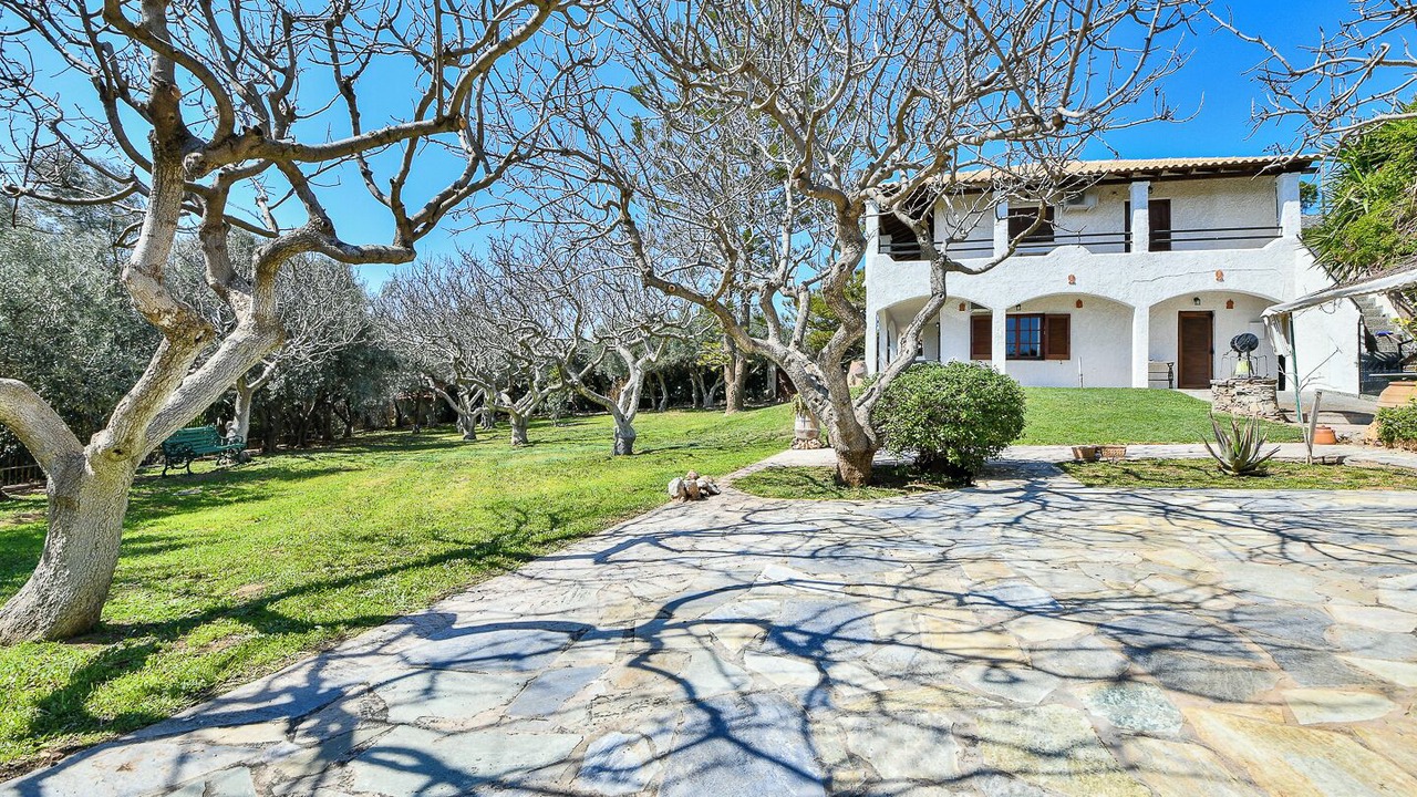 Photo of Outdoor in Anavyssos