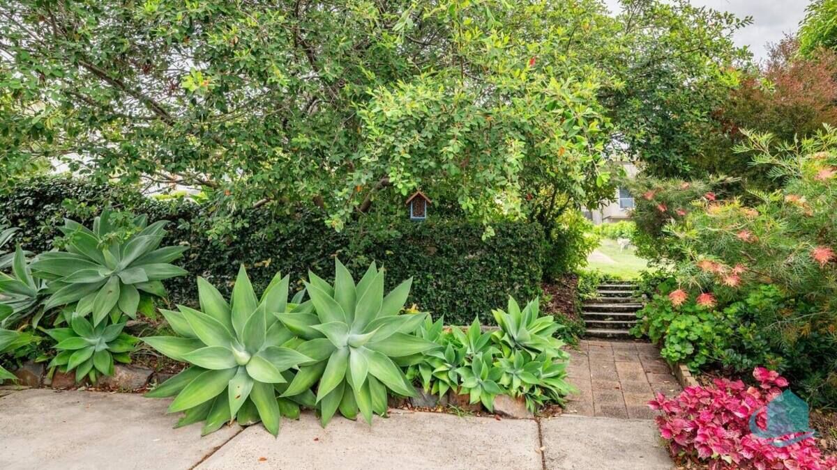 Photo of Outdoor in Caves Beach