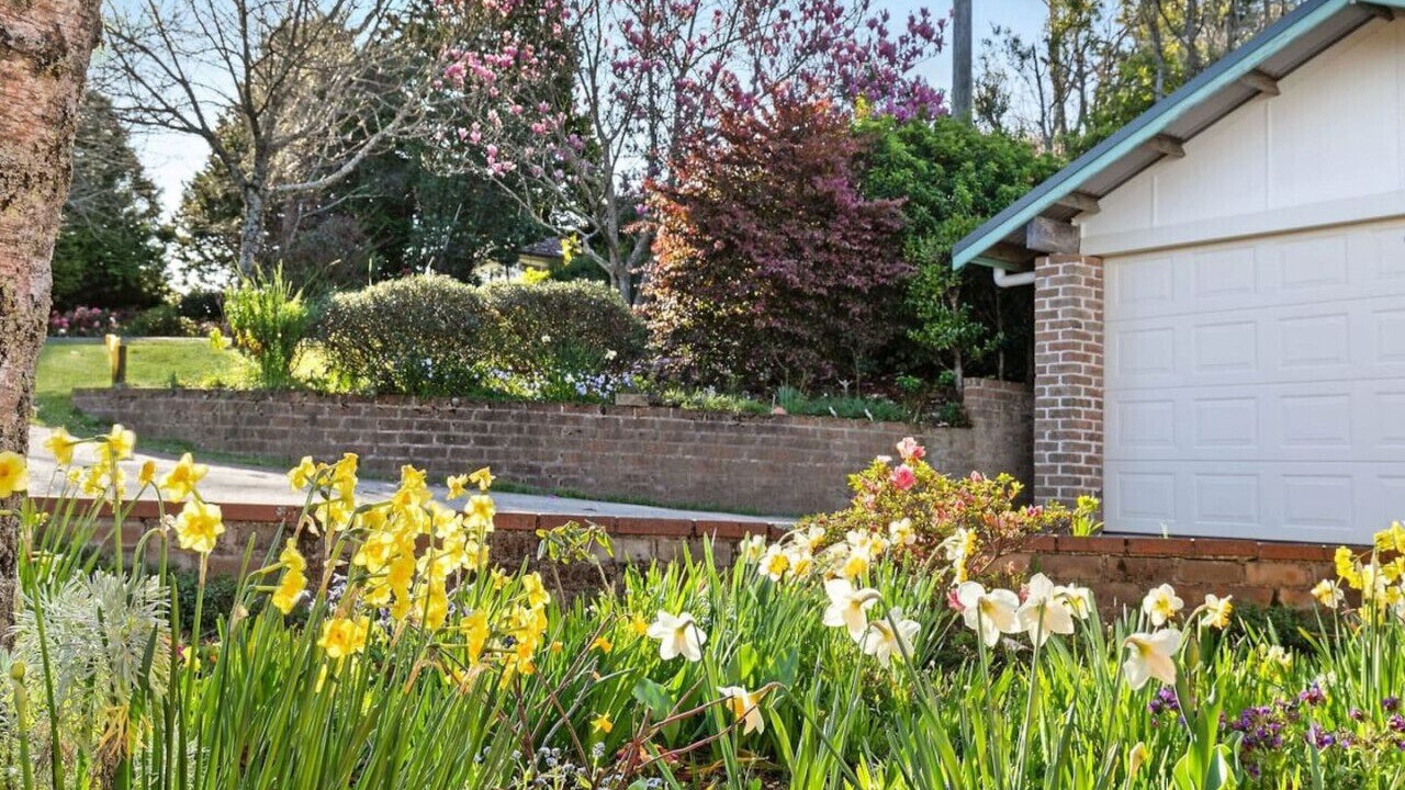 Photo of Outdoor in Wentworth Falls