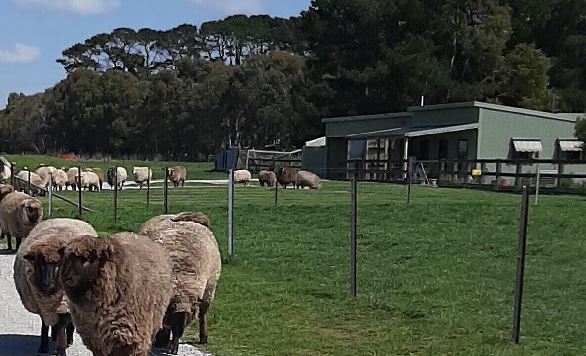 Photo of Others in Taralga
