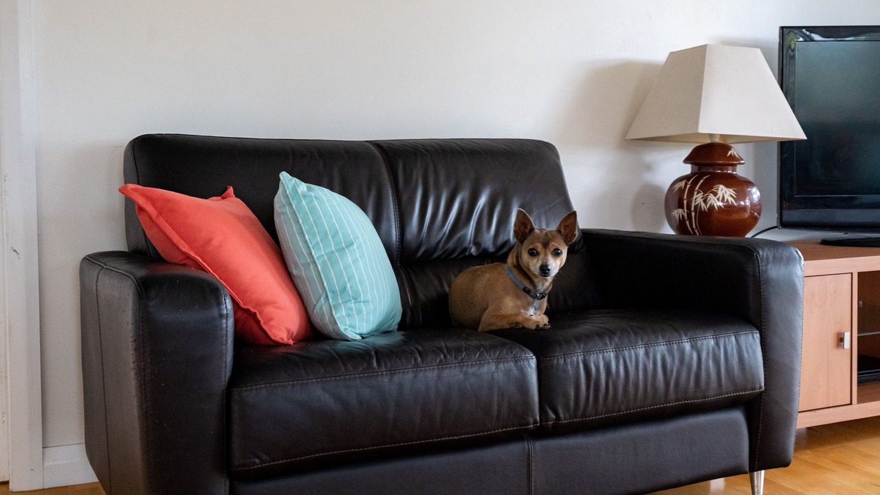 Photo of Livingroom in Forresters Beach