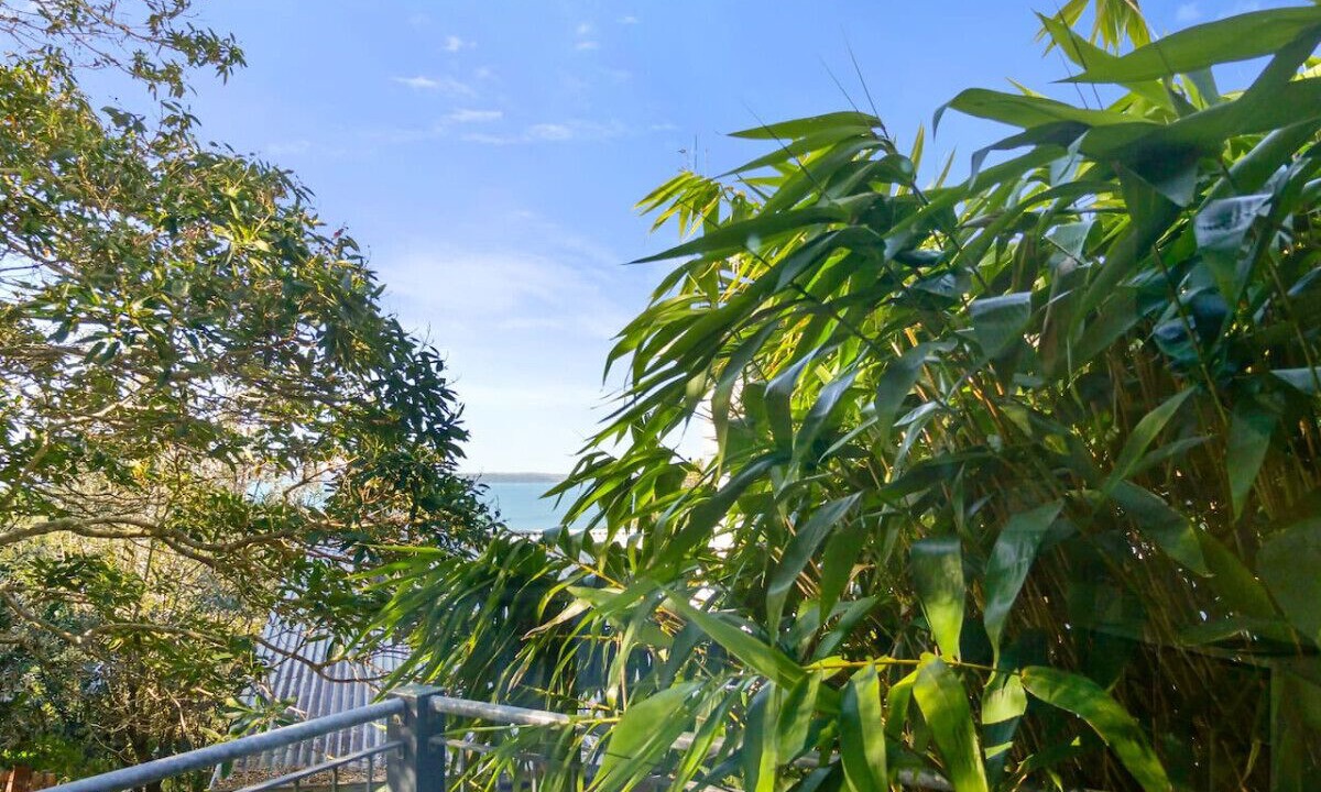 Photo of Outdoor in Vincentia