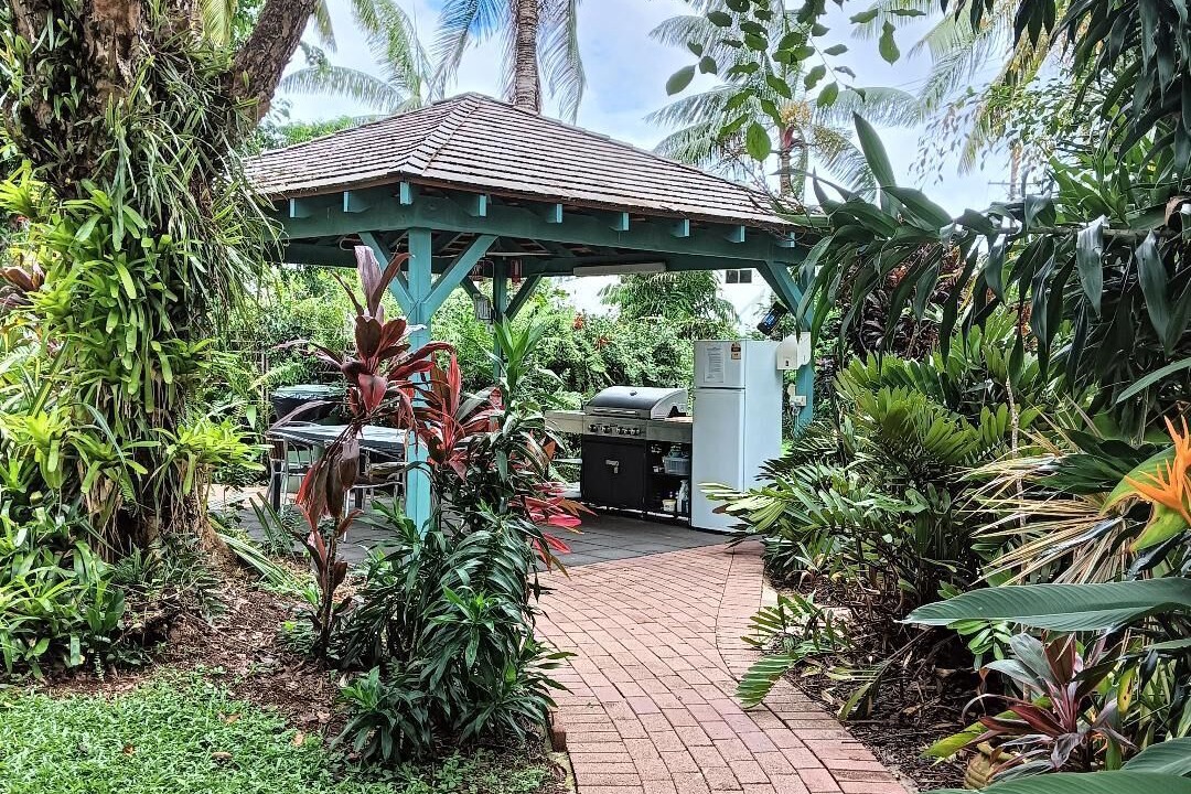 Photo of Outdoor in Holloways Beach