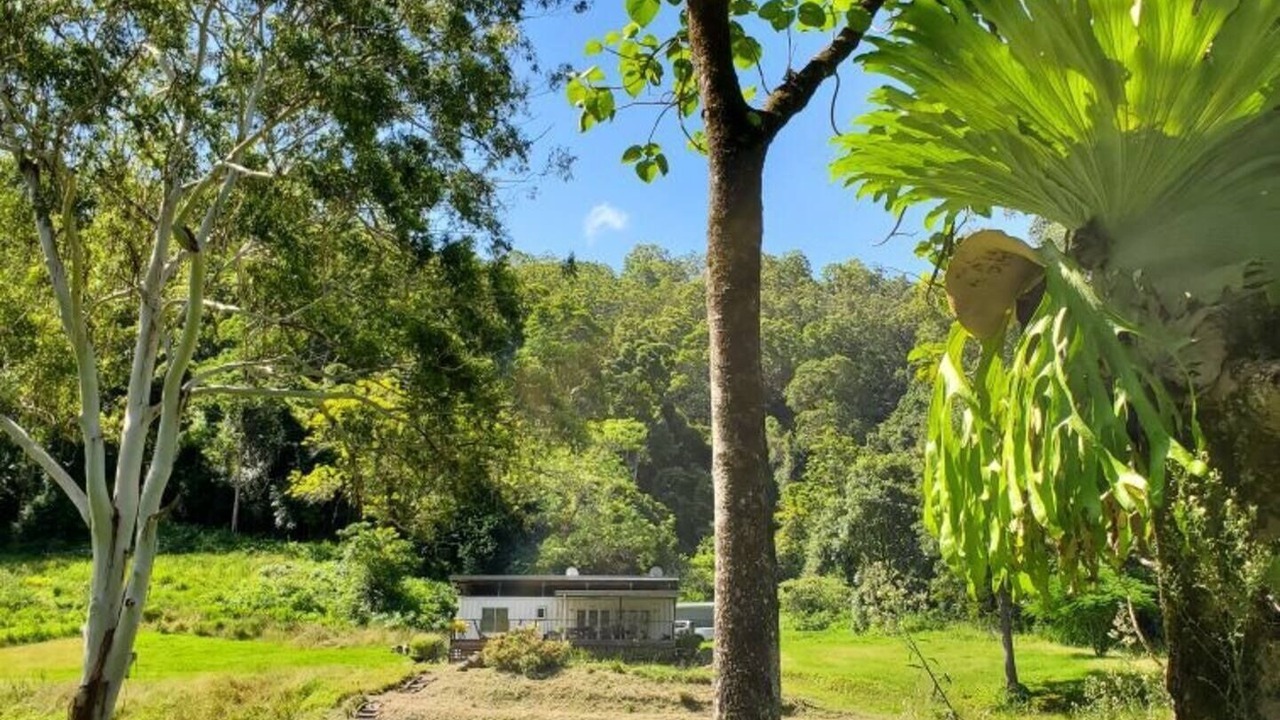 Photo of Outdoor in Warrazambil Creek