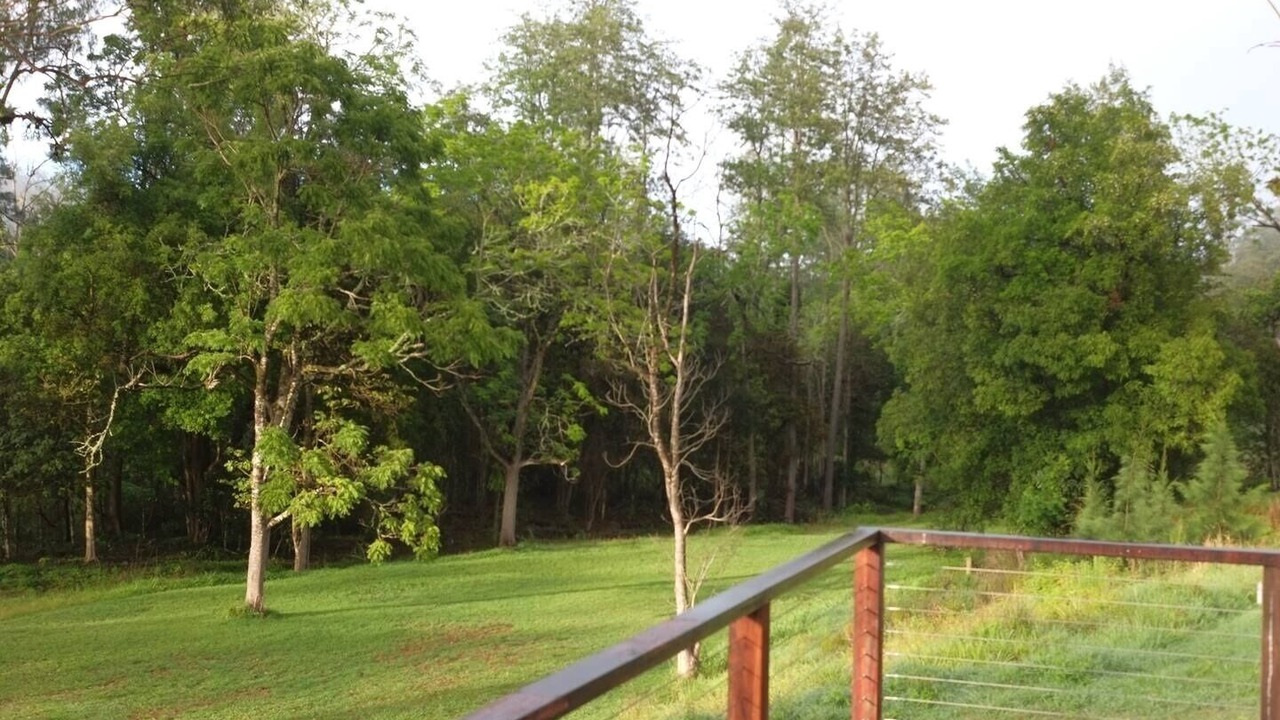 Photo of Outdoor in Warrazambil Creek
