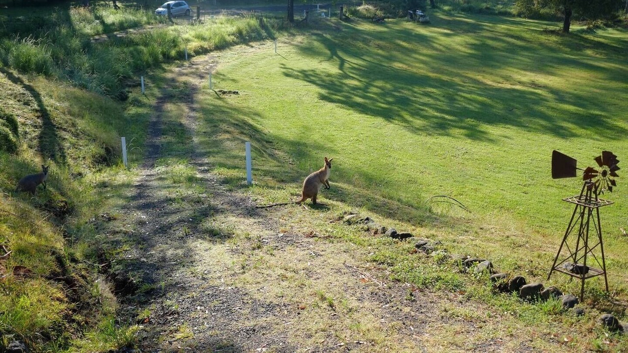 Photo of Outdoor in Warrazambil Creek