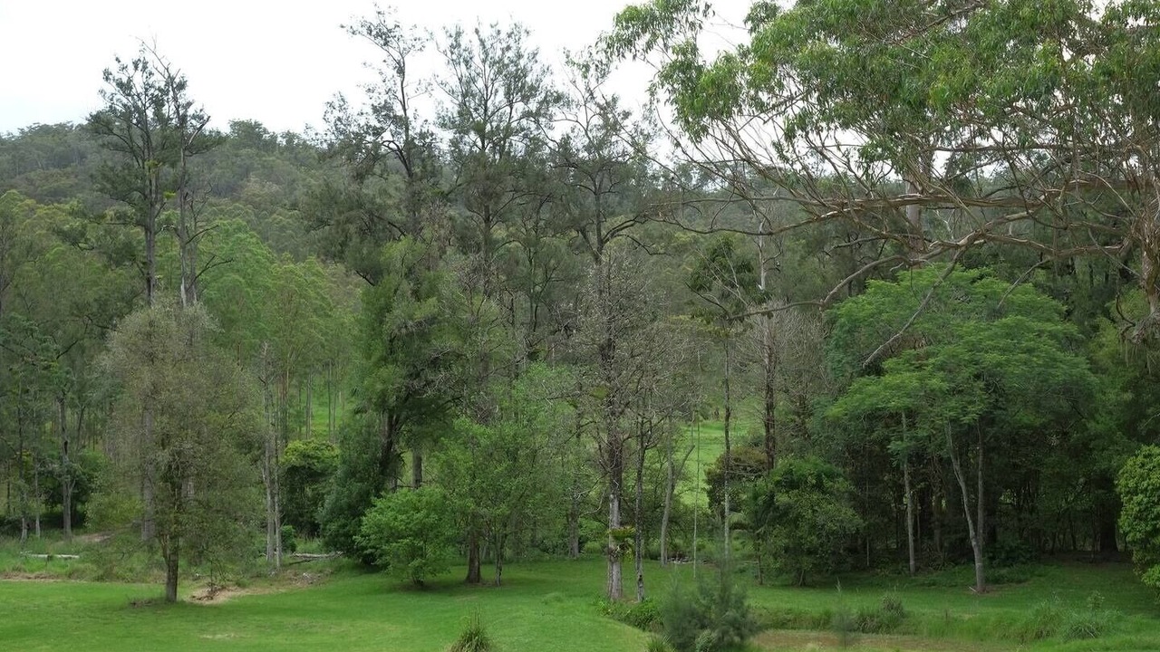 Photo of Outdoor in Warrazambil Creek