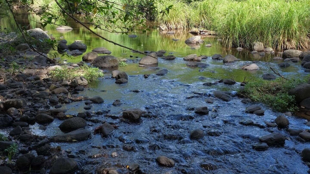Photo of Others in Warrazambil Creek