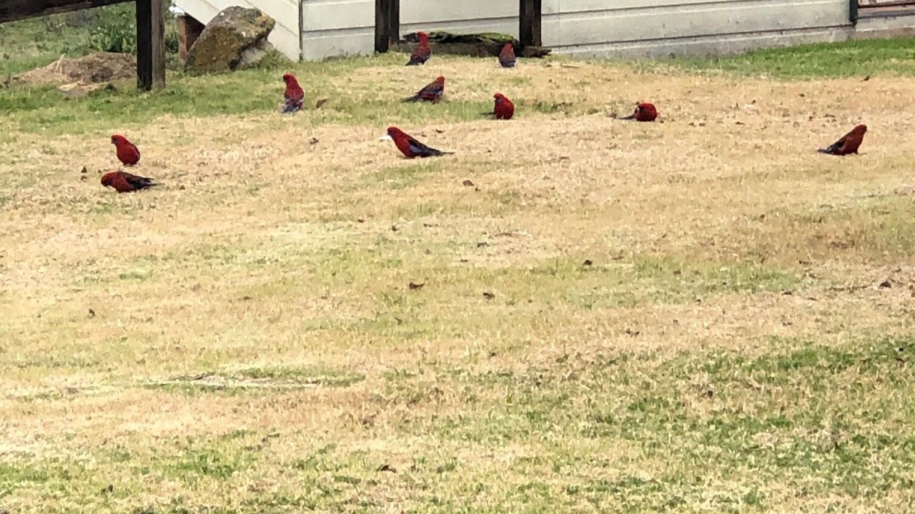 Photo of Outdoor in O'connell