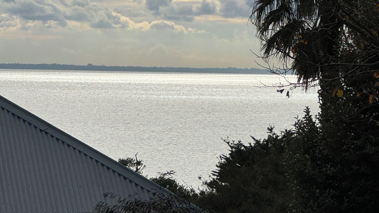 Photo of Patio Balcony in Mornington
