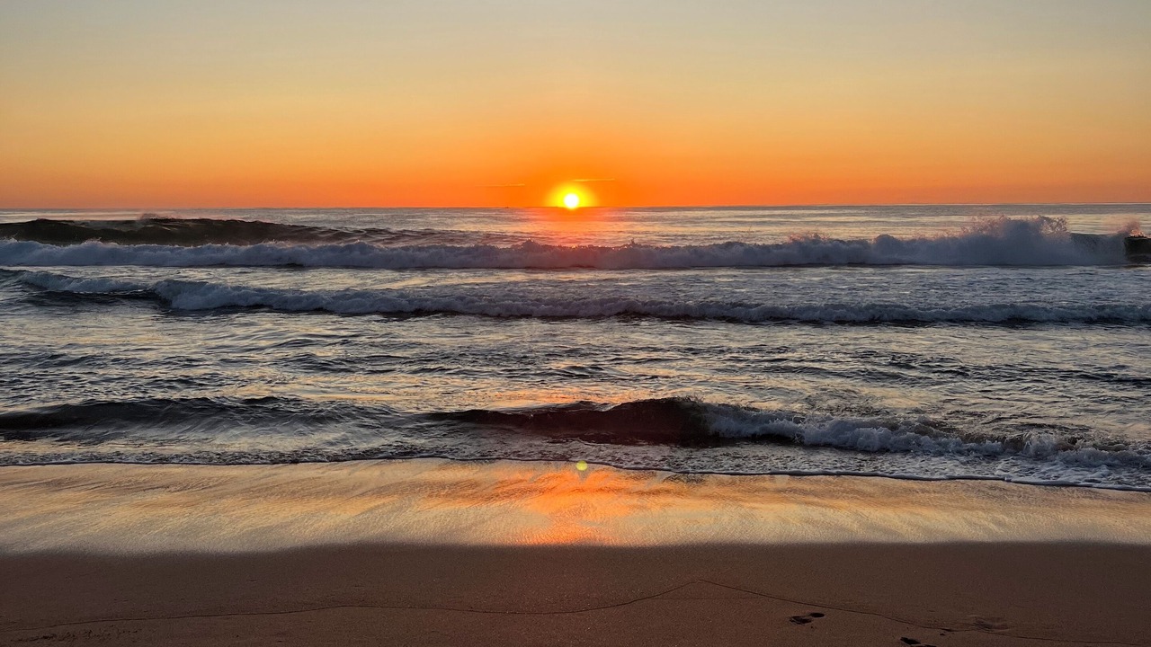 Photo of Others in Mona Vale