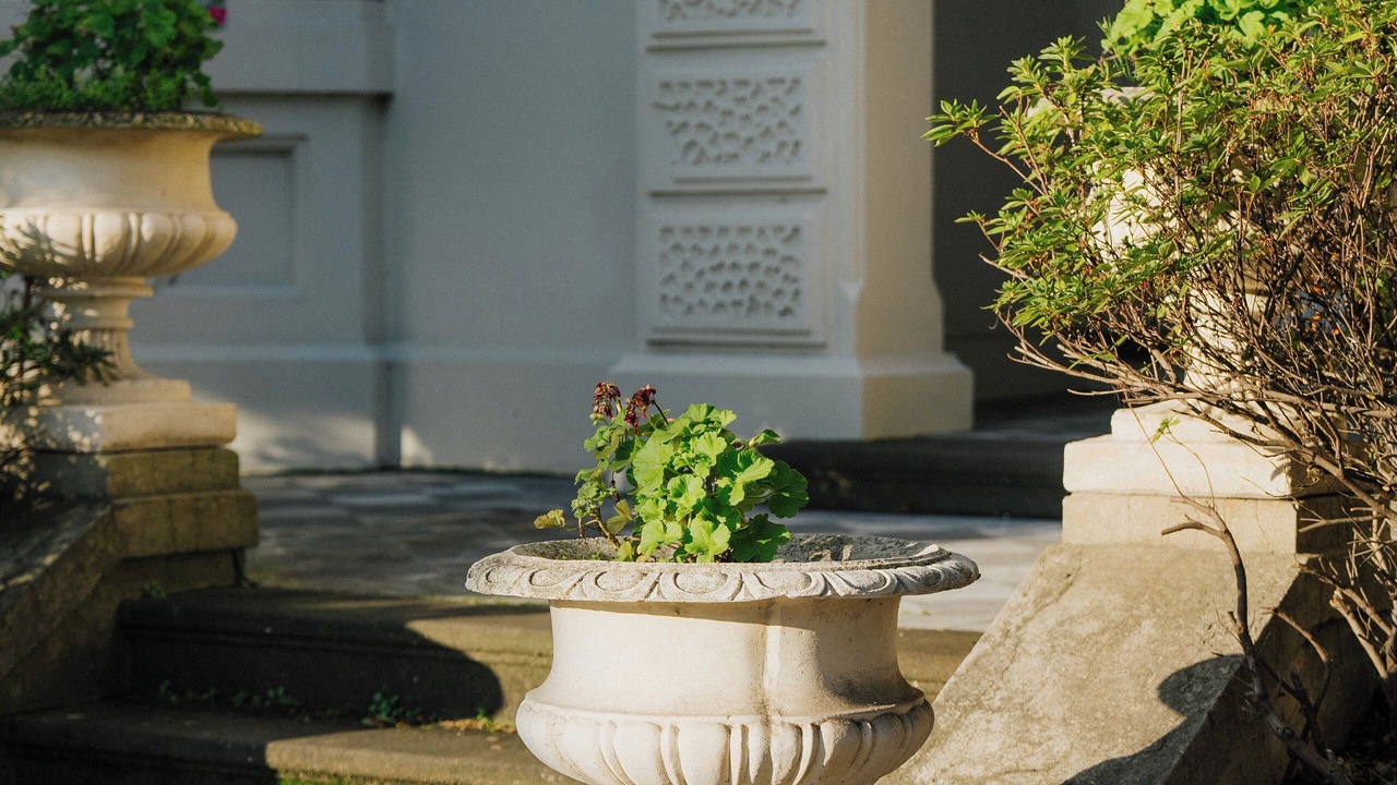 Photo of Outdoor in Kew