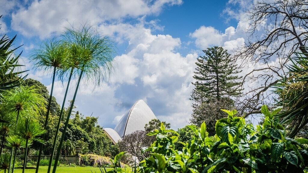 Photo of Outdoor in Wentworthville