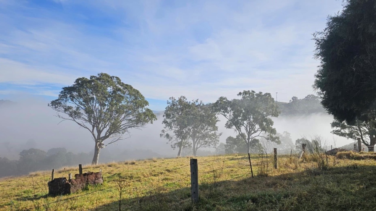 Photo of Others in Buckajo