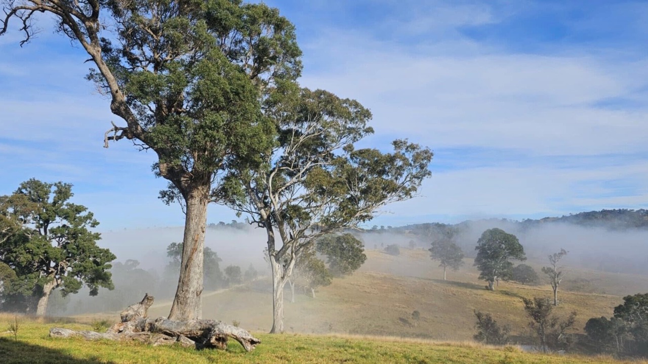 Photo of Others in Buckajo