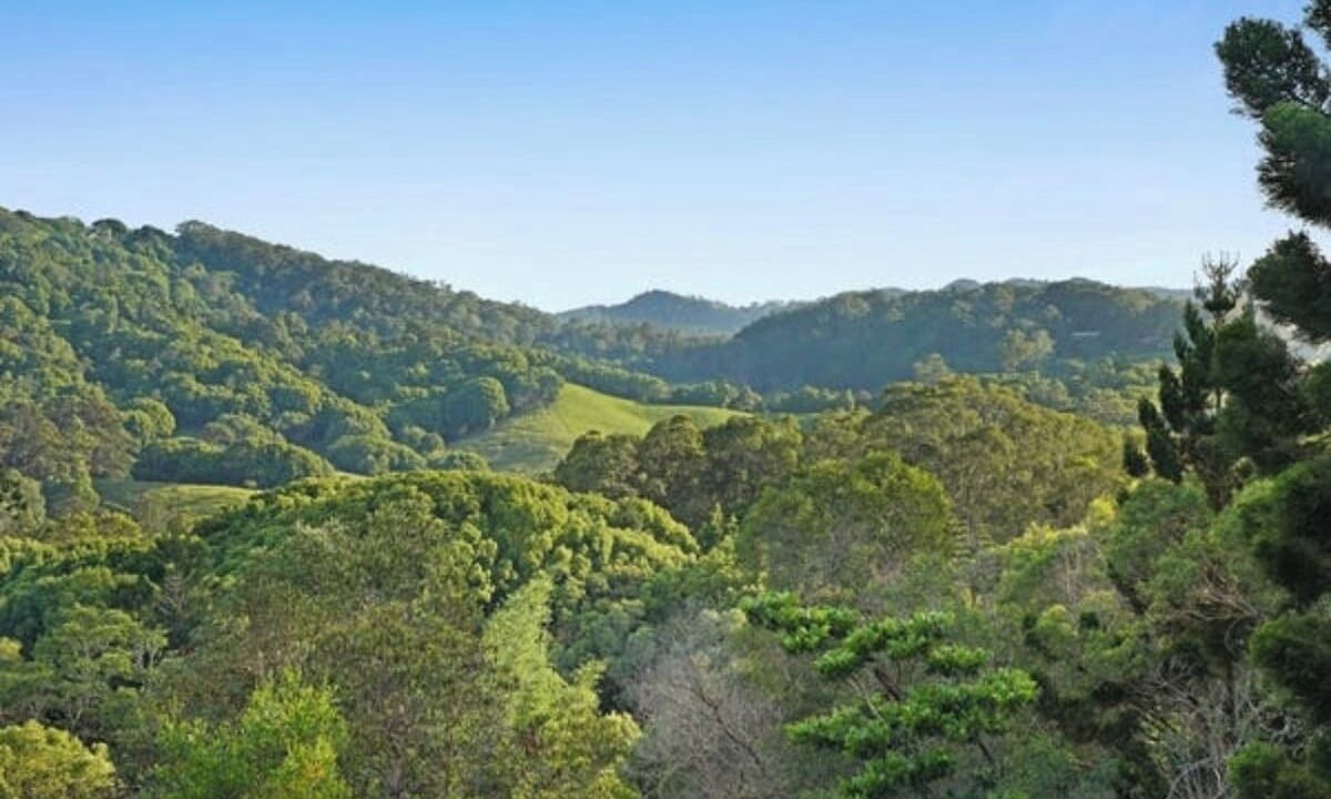 Photo of Others in Currumbin Valley