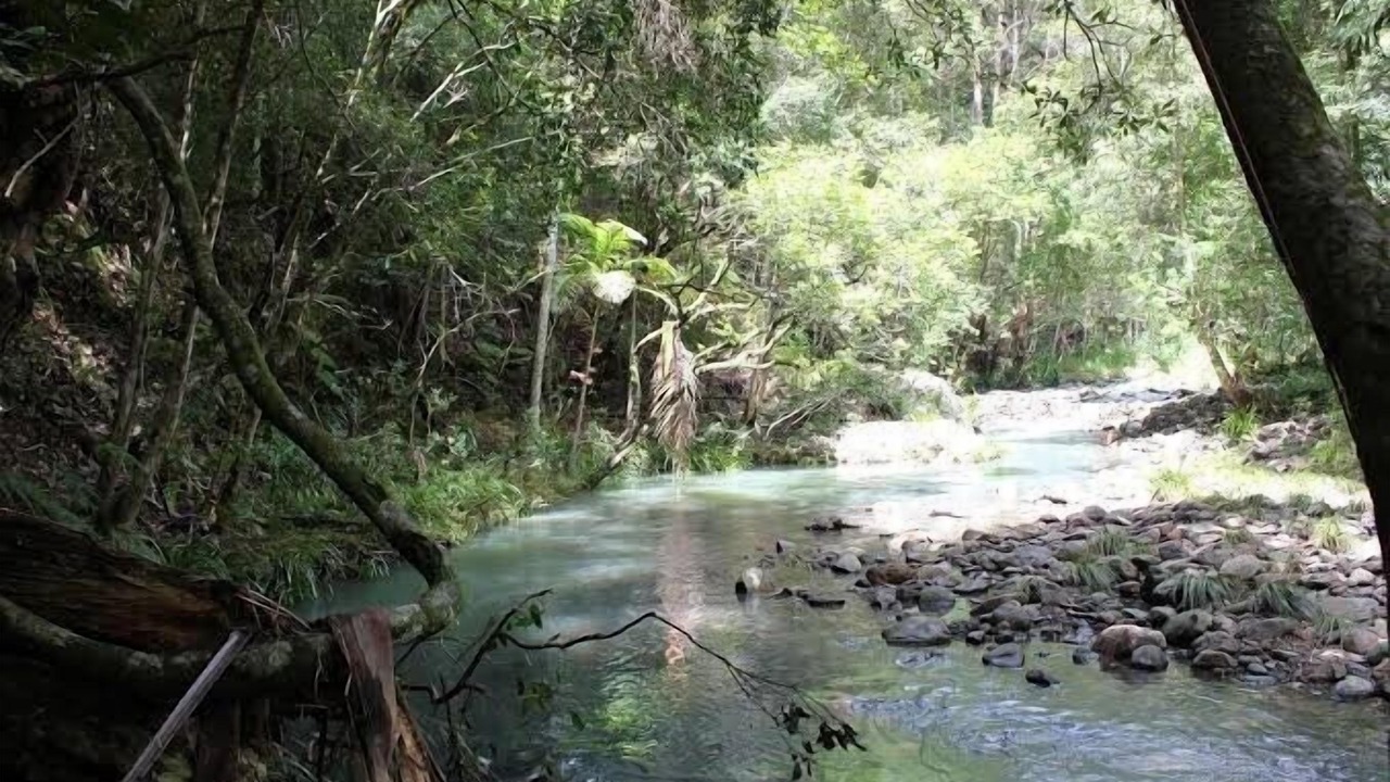 Photo of Outdoor in Mudgeeraba