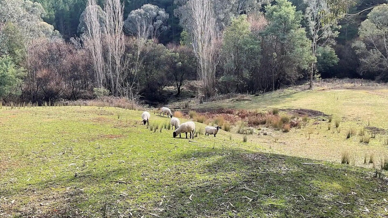 Photo of Outdoor in High Country