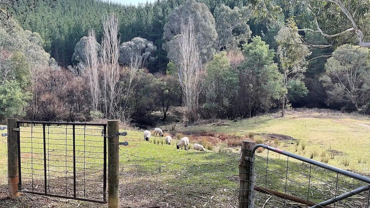 Photo of Outdoor in High Country
