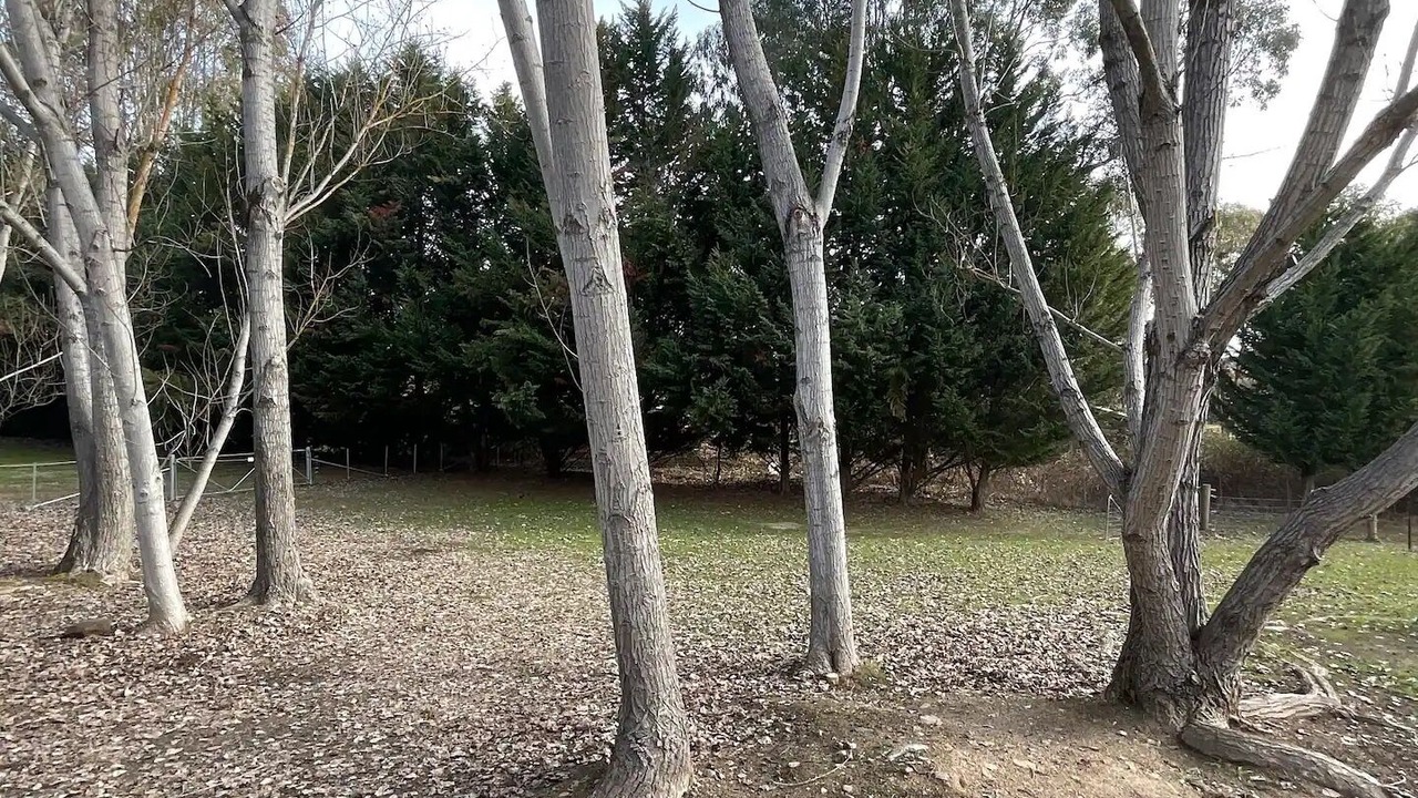 Photo of Outdoor in High Country