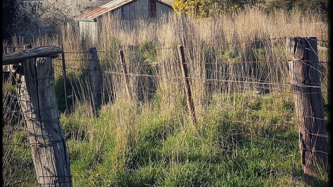Photo of Outdoor in Tarana