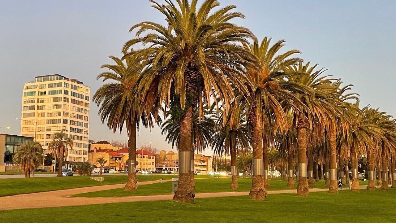 Photo of Others in St Kilda West