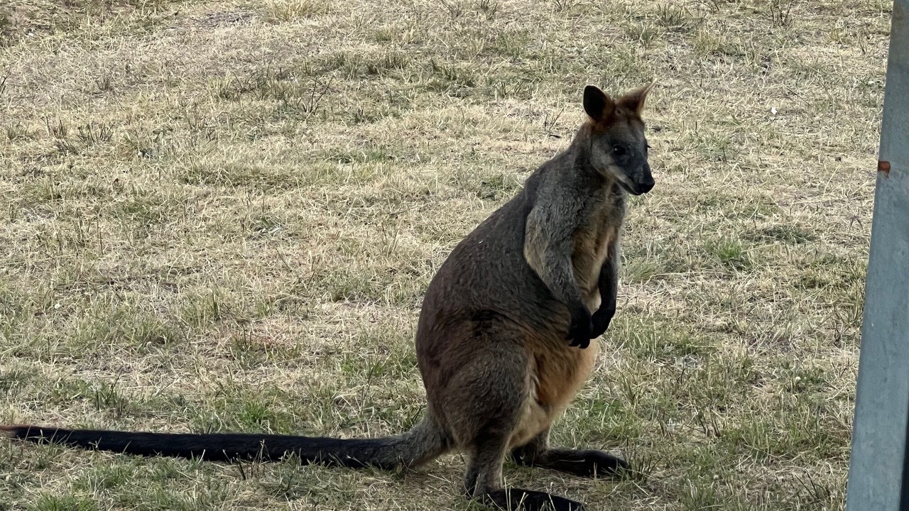 Photo of Others in Sandy Flat