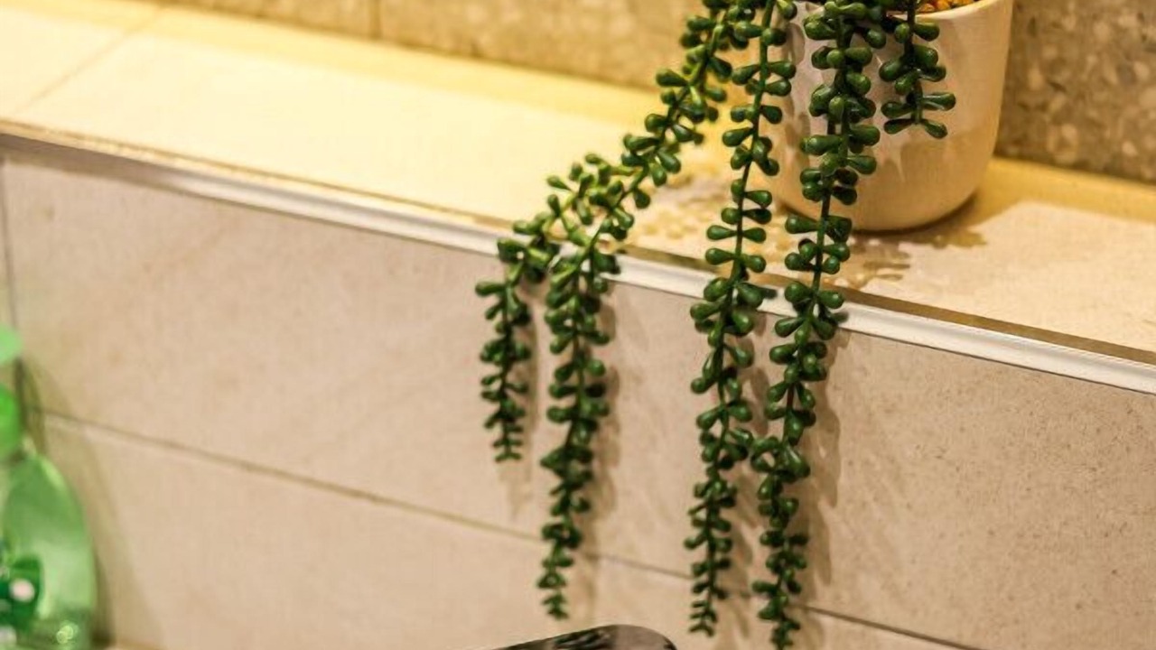 Photo of Bathroom in Mordialloc