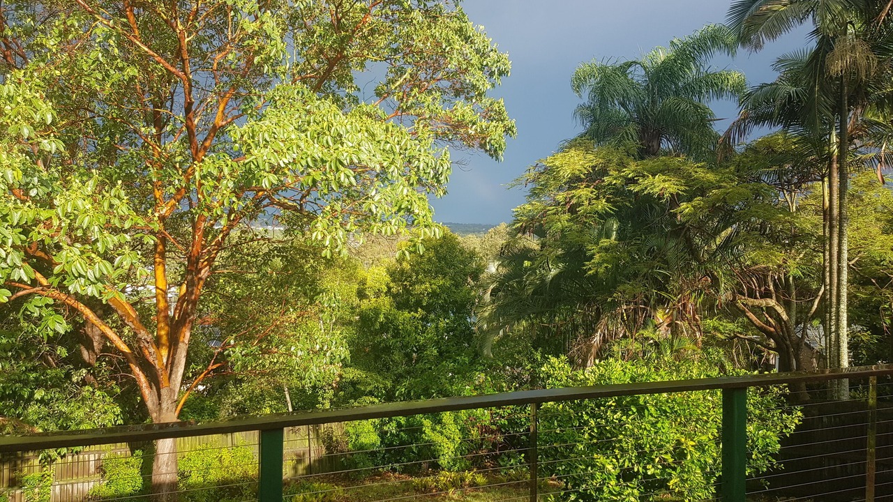 Photo of Outdoor in Mount Warren Park