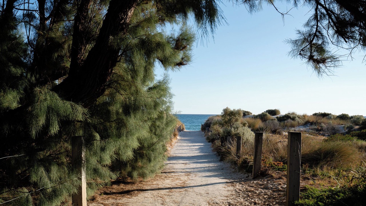 Photo of Others in West Beach