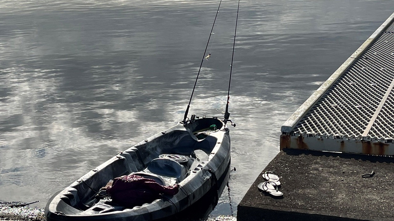 Photo of Others in Bonnells Bay