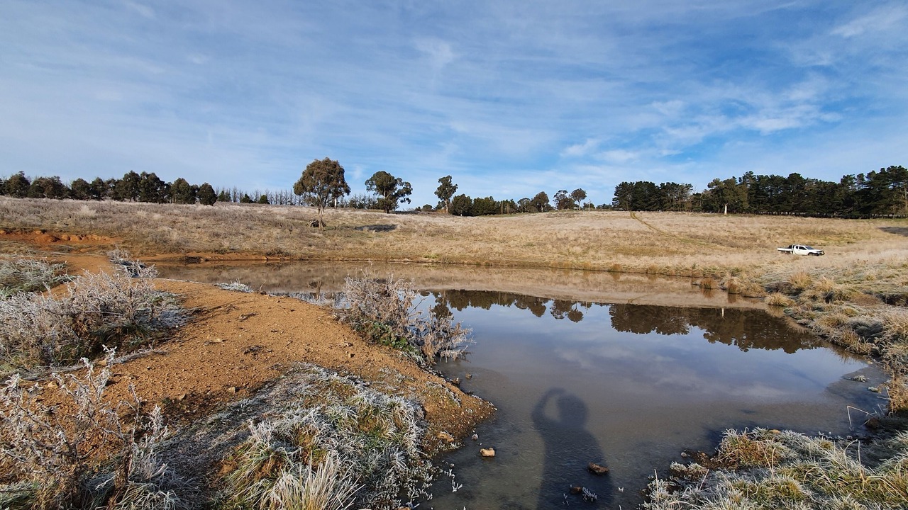 Photo of Others in Walcha