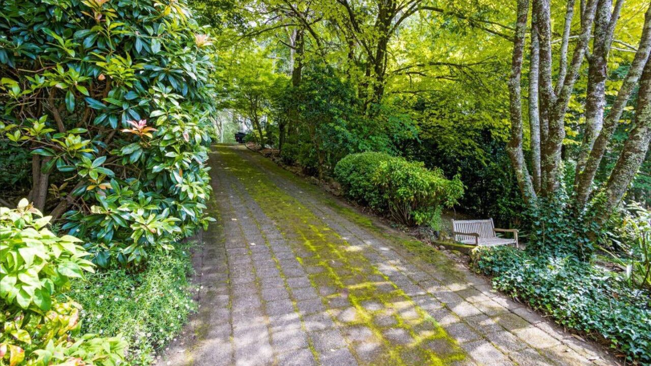 Photo of Outdoor in Mount Wilson