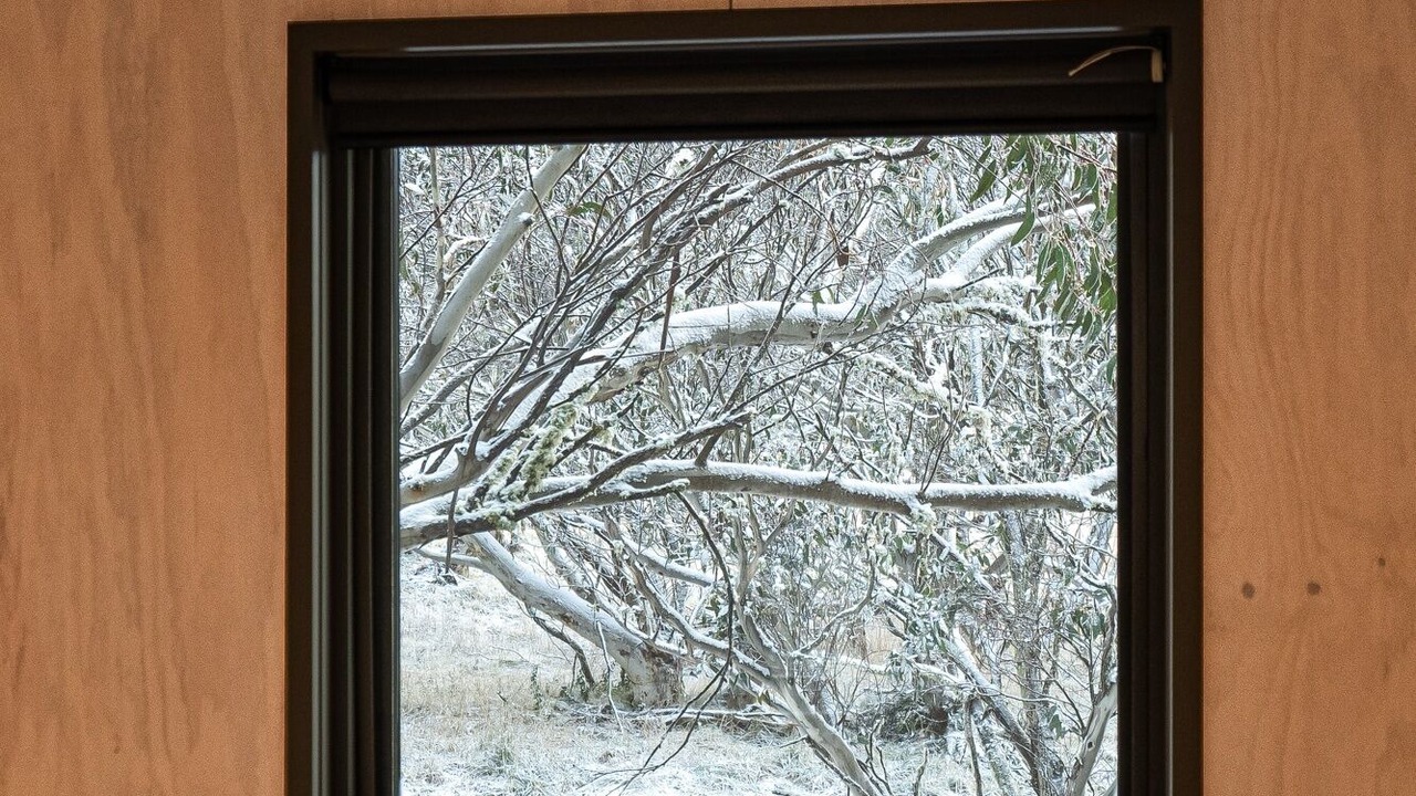 Photo of Others in Dargo
