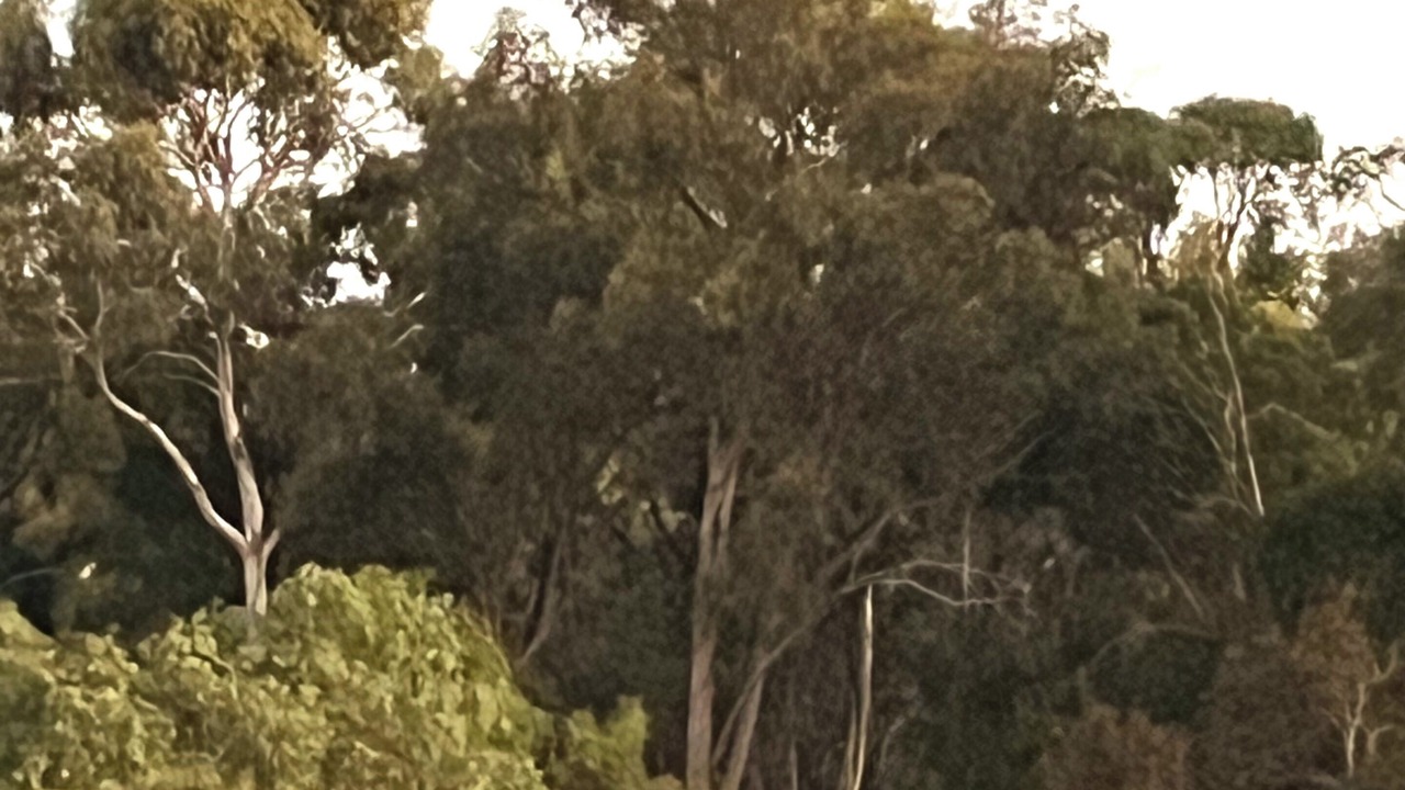 Photo of Others in Creswick