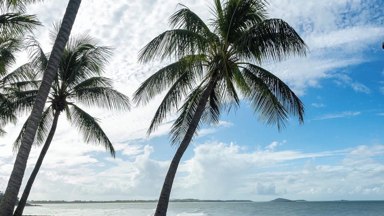 Photo of Others in Mackay Regional
