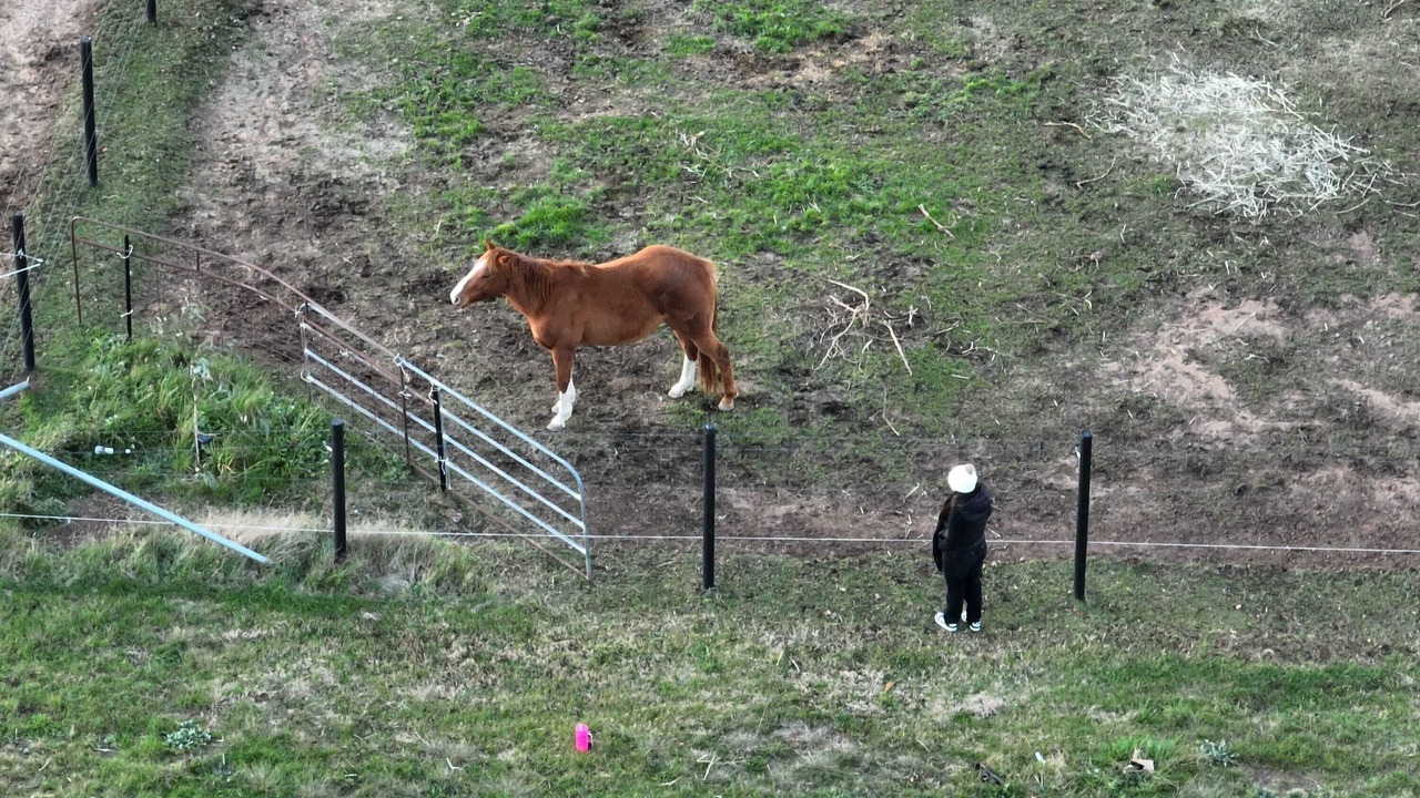 Photo of Outdoor in Tarlo