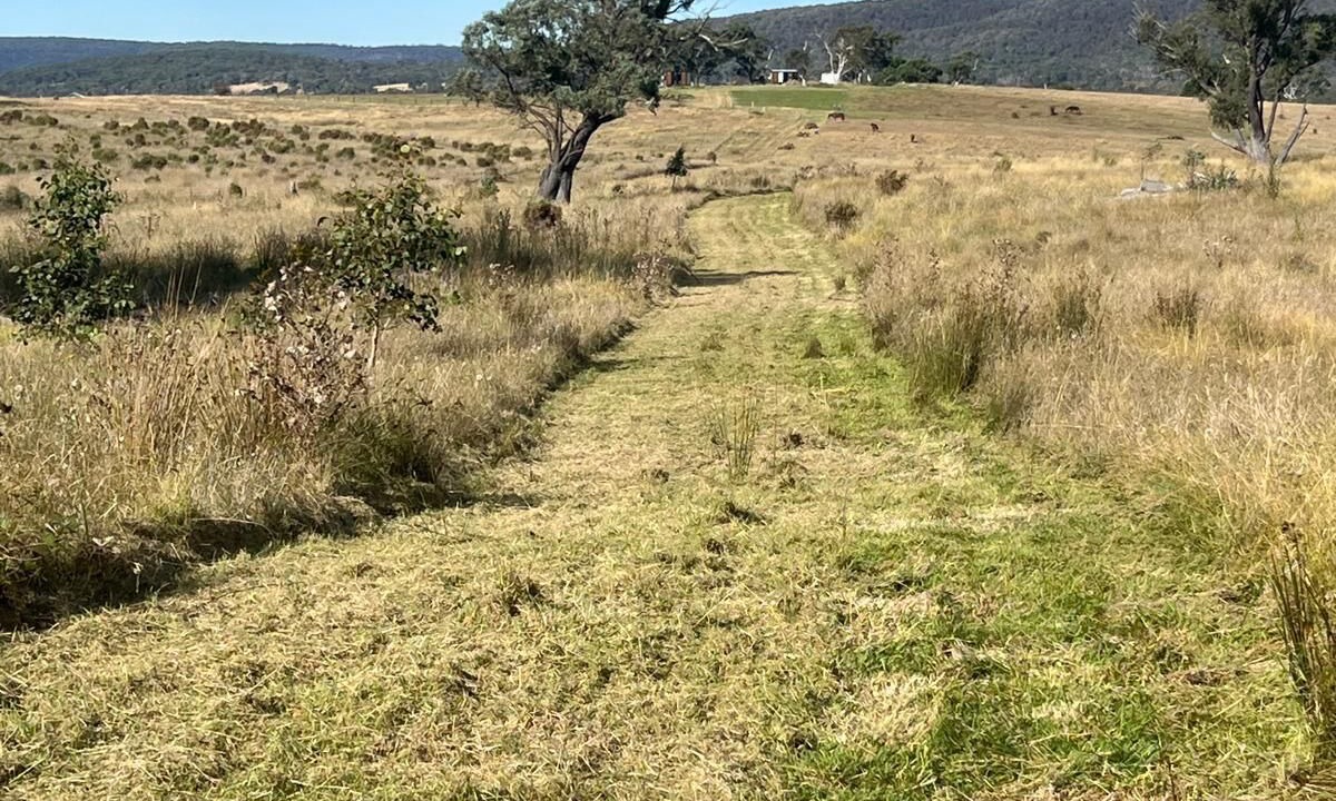 Photo of Outdoor in Tarlo