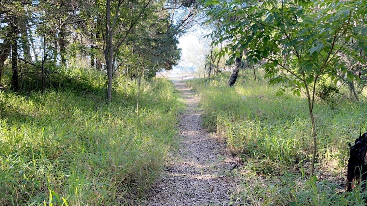 Photo of Others in Toogoom
