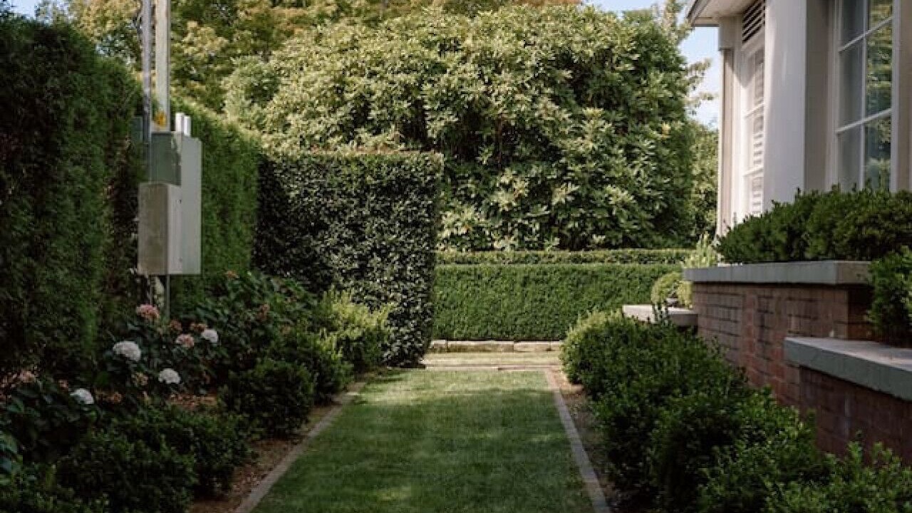 Photo of Outdoor in Blackheath