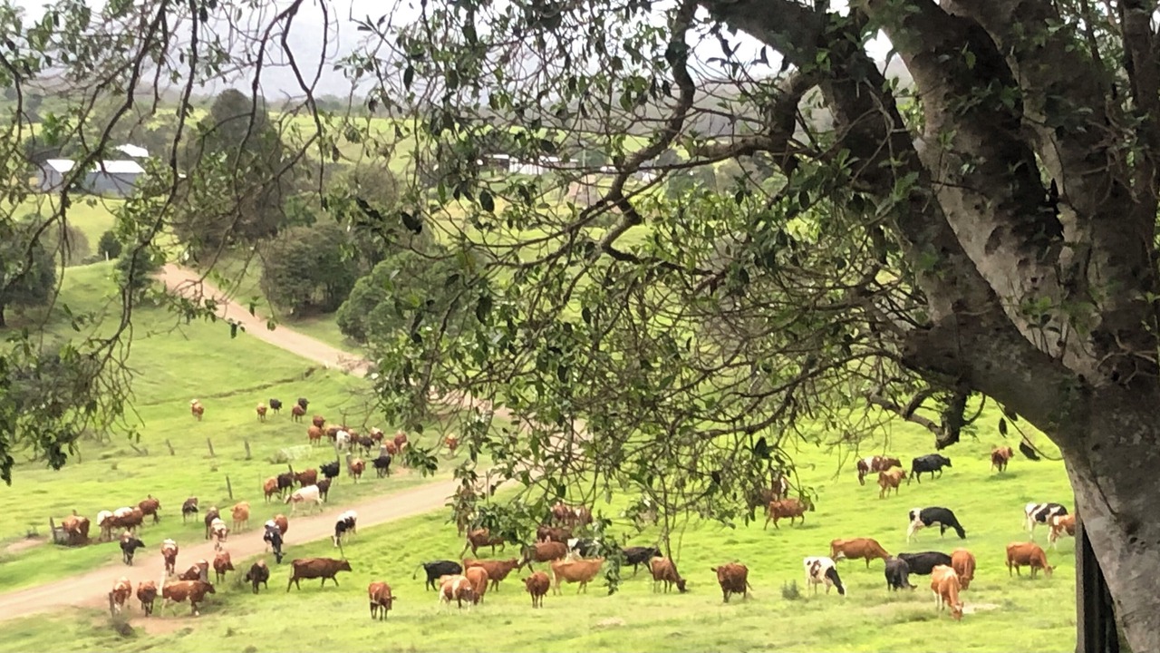 Photo of Others in Barney View