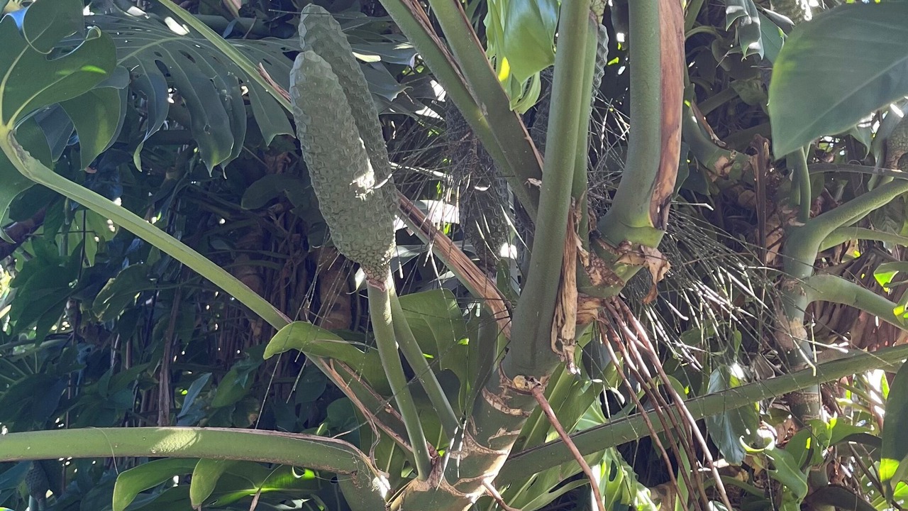 Photo of Outdoor in Dora Creek