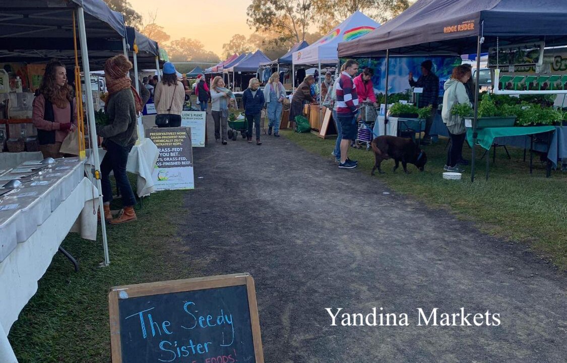 Photo of Others in Yandina