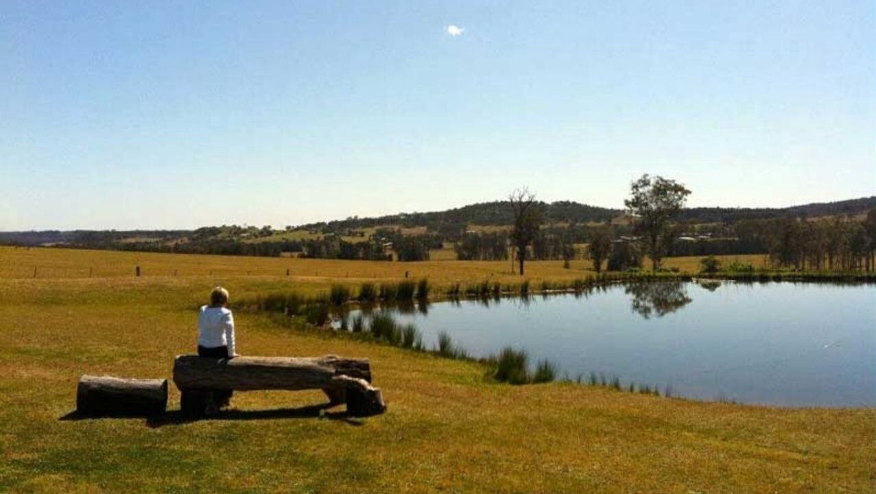 Photo of Outdoor in Lovedale