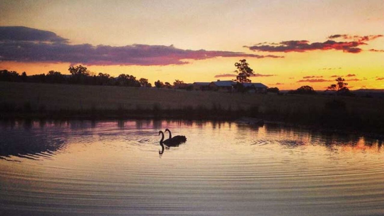 Photo of Outdoor in Lovedale