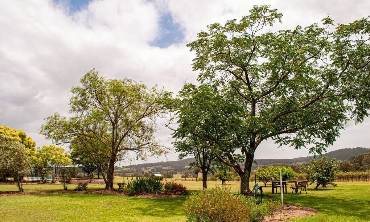 Photo of Outdoor in Lovedale