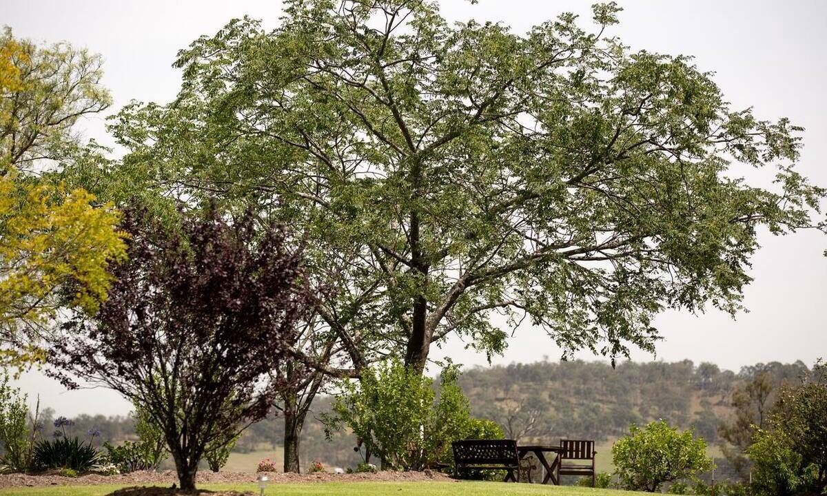 Photo of Outdoor in Lovedale