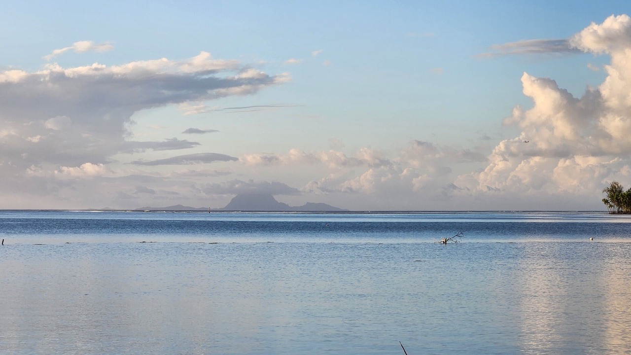 Photo of Others in Teahupoo