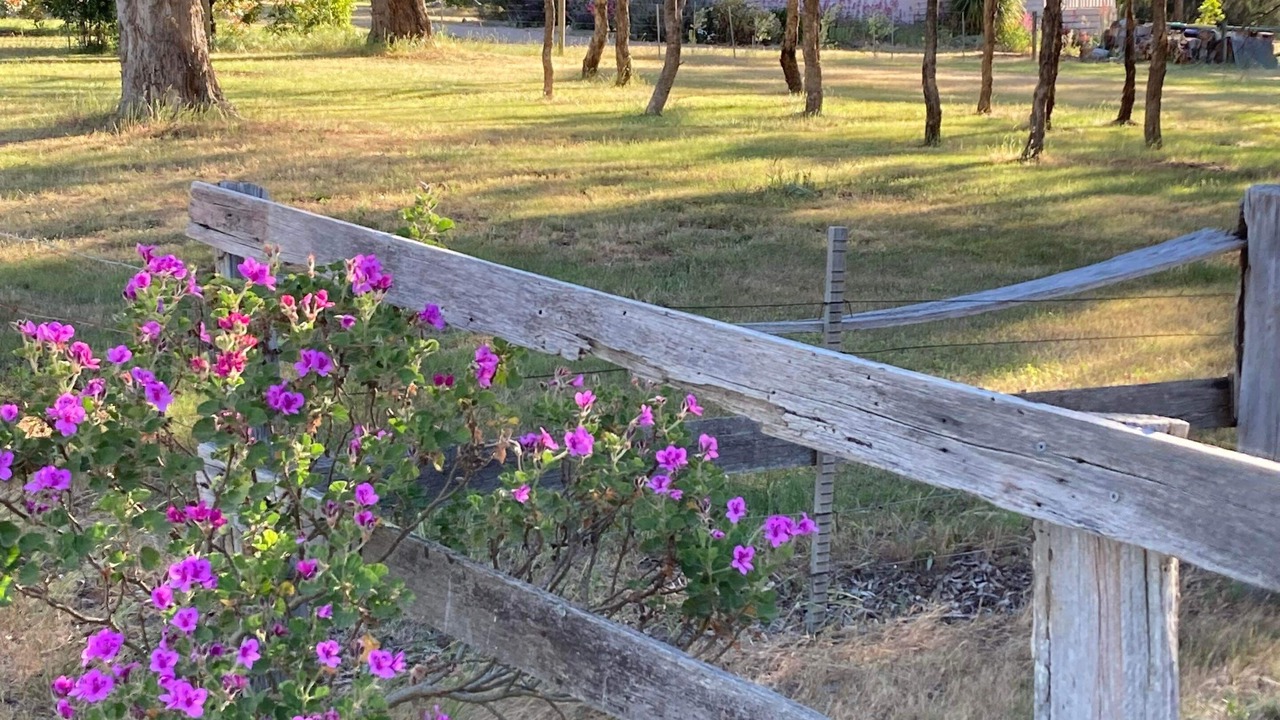 Photo of Outdoor in Kyneton